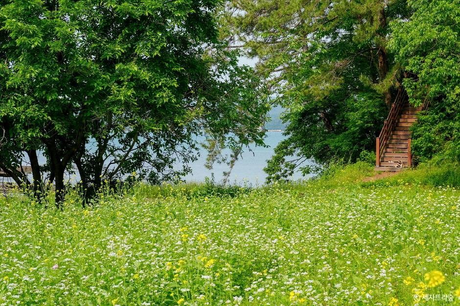 통영 RCE세자트라숲 이미지 5