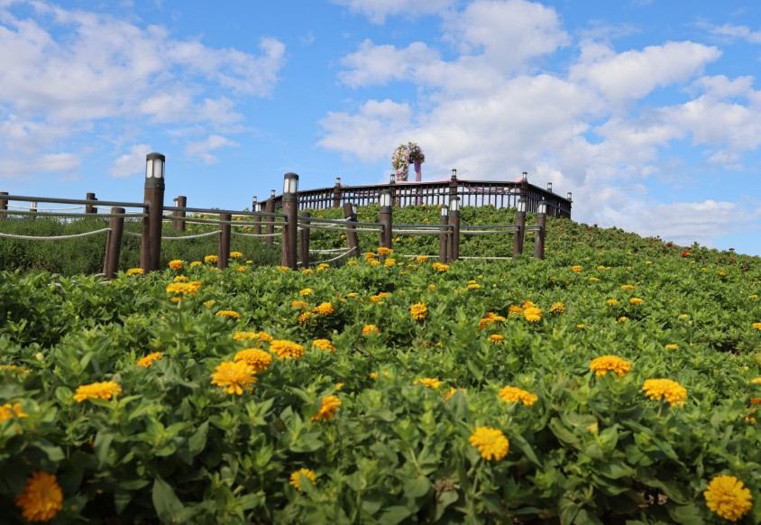 양주 나리농원 이미지 3