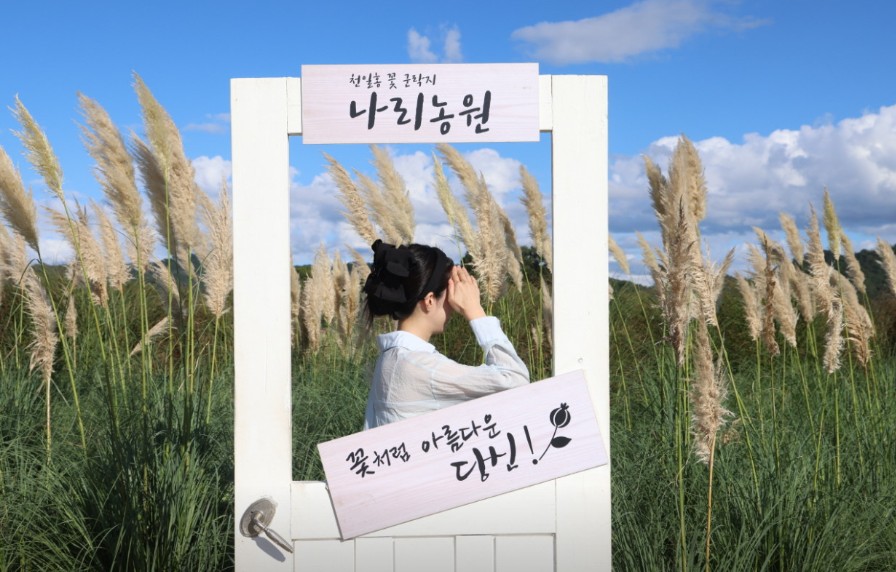 양주 나리농원 이미지 7