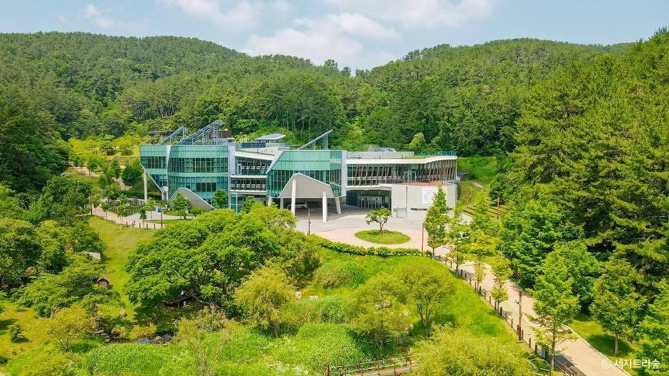 통영 RCE세자트라숲 이미지 1