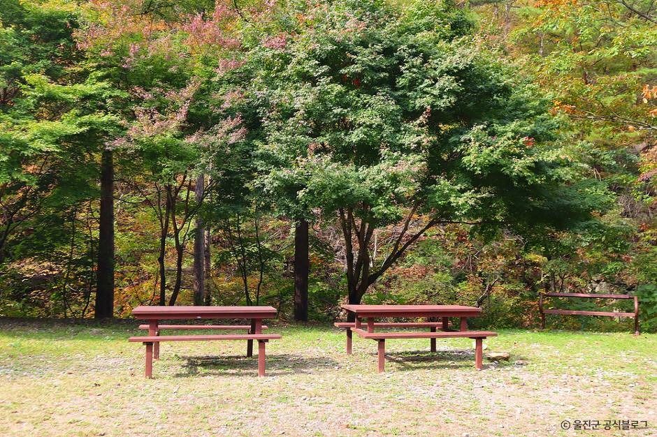 울진 통고산자연휴양림 이미지 8