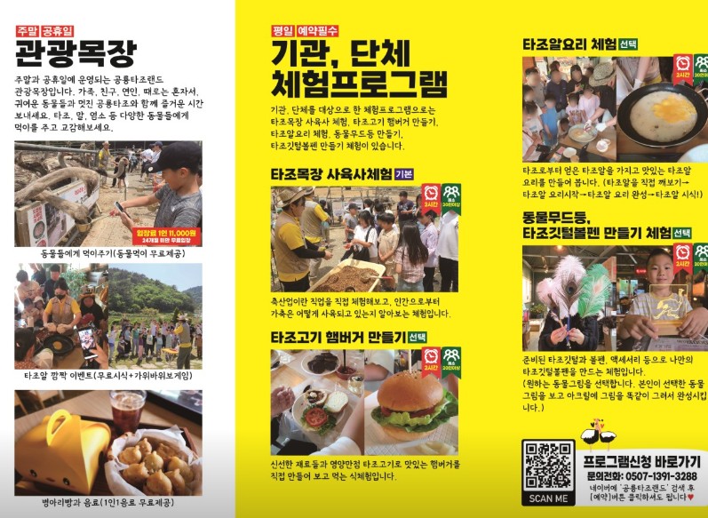 고성 공룡타조랜드 이미지 4