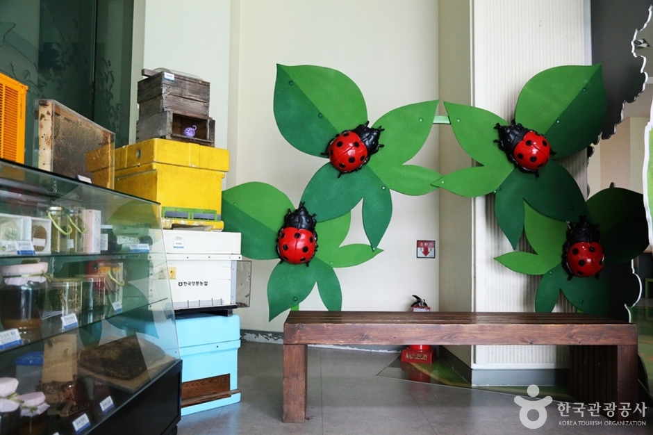 거제 곤충생태박물관 이미지 7
