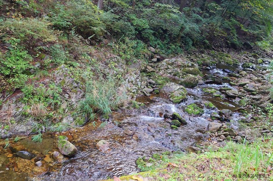 울진 통고산자연휴양림 이미지 3