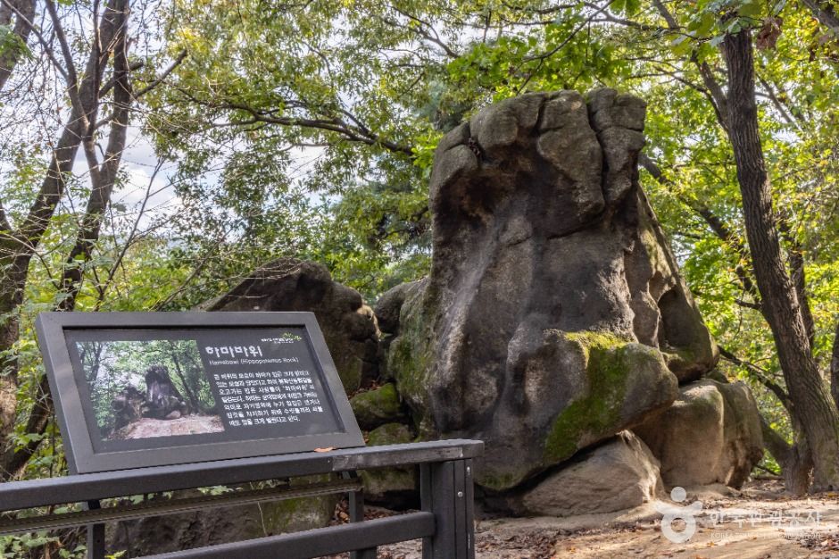 서울 봉화산 이미지 2