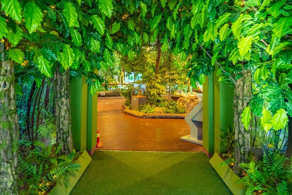 하동 지리산생태과학관 이미지 4