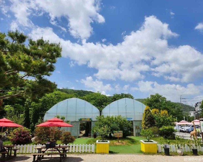 용인 동천자연식물원 이미지 6