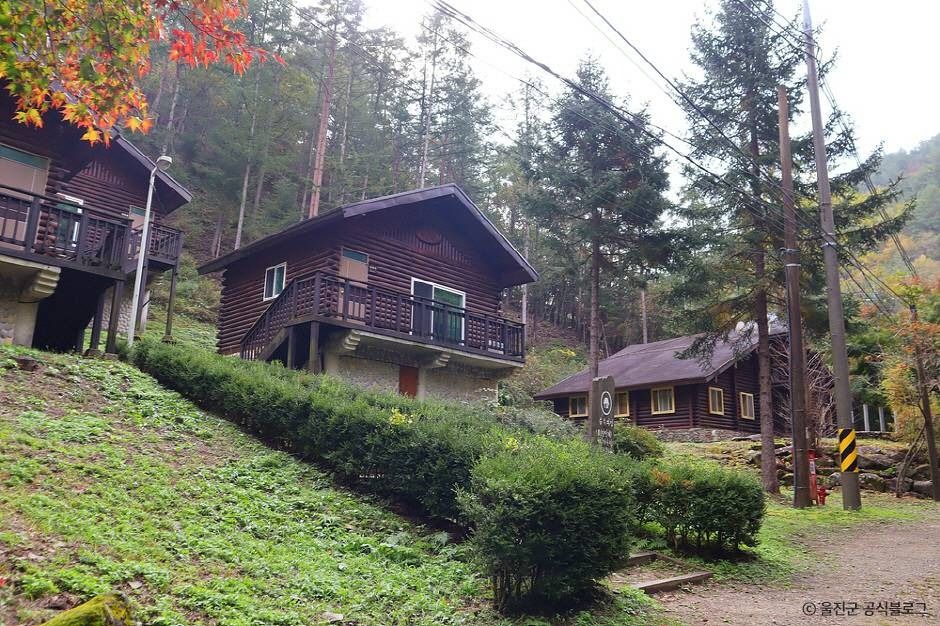 울진 통고산자연휴양림 이미지 2