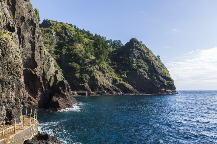 아름다운 신비의 섬, 울릉도 이미지 8