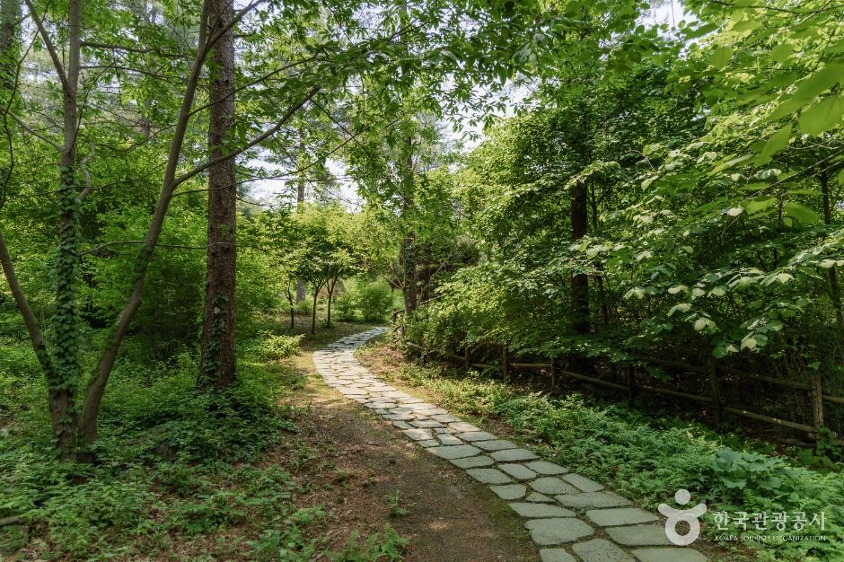 남양주 물맑음수목원 이미지 6