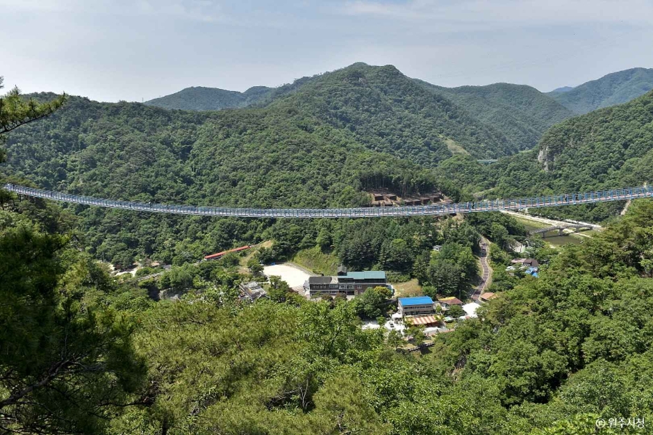 원주 소금산 출렁다리 이미지 5