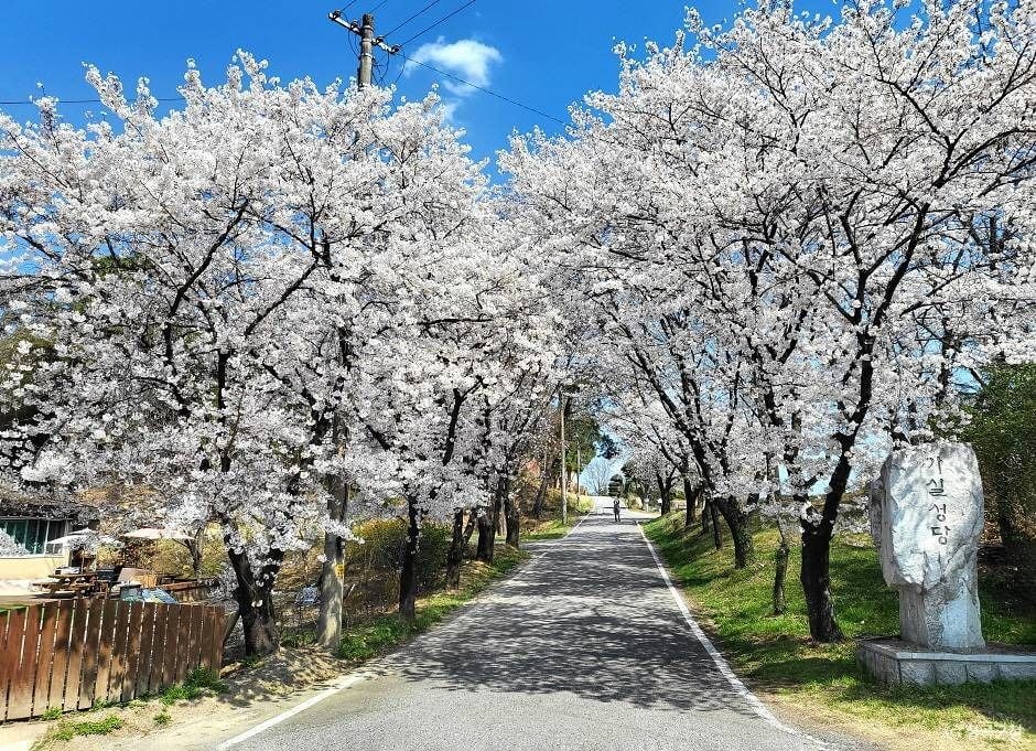 칠곡 가실성당 이미지 2