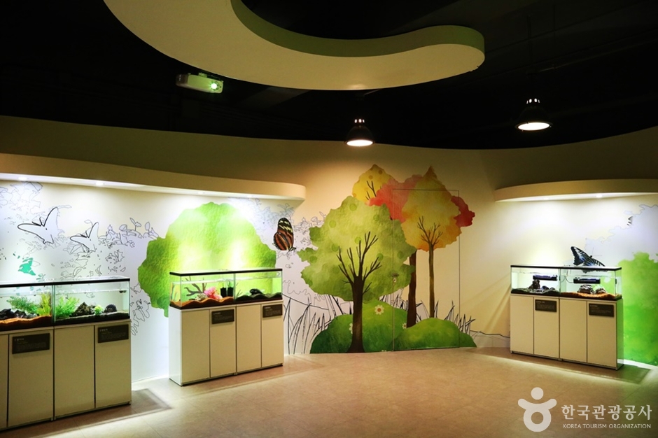 거제 곤충생태박물관 이미지 2