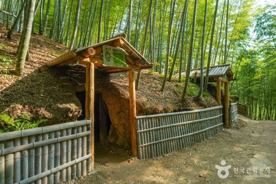 거제 맹종죽테마파크 이미지 6