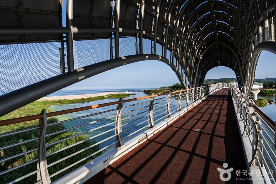 울진 은어다리 이미지 4