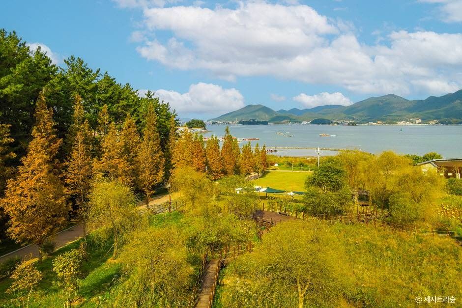 통영 RCE세자트라숲 이미지 3