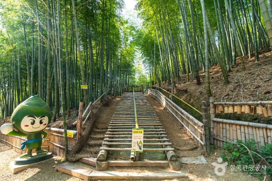 거제 맹종죽테마파크 이미지 5