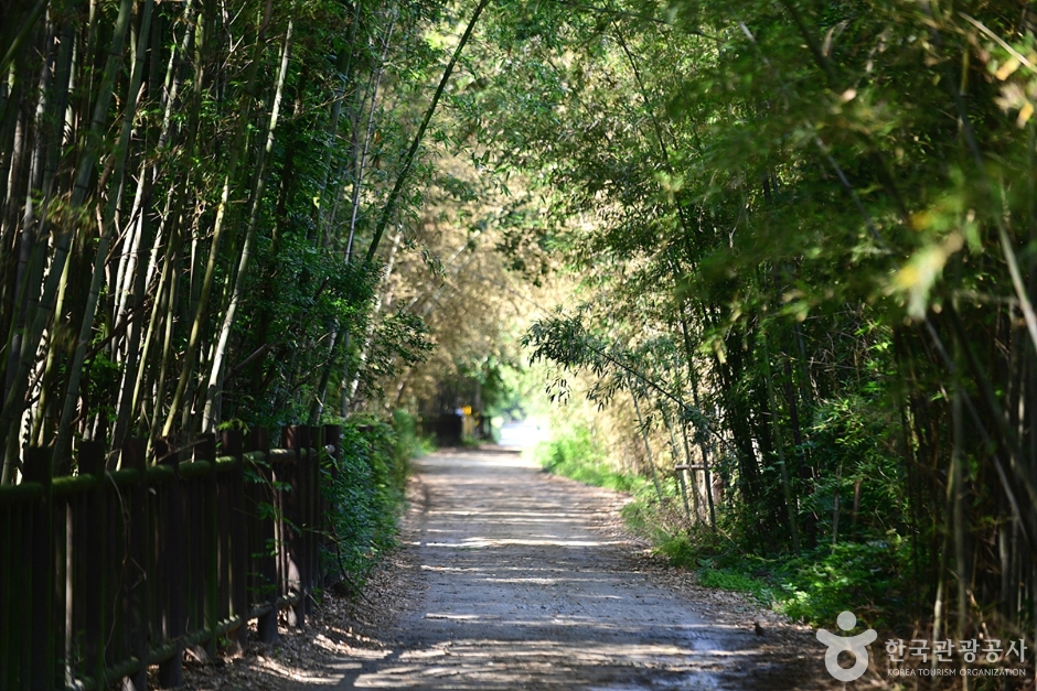 담양 습지 _영산강 8경 이미지 8