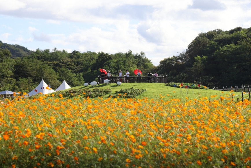 양주 나리농원 이미지 5