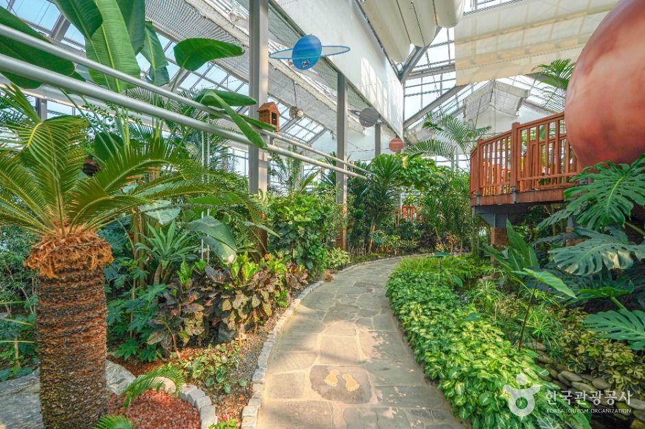 의령 아열대식물원 이미지 5