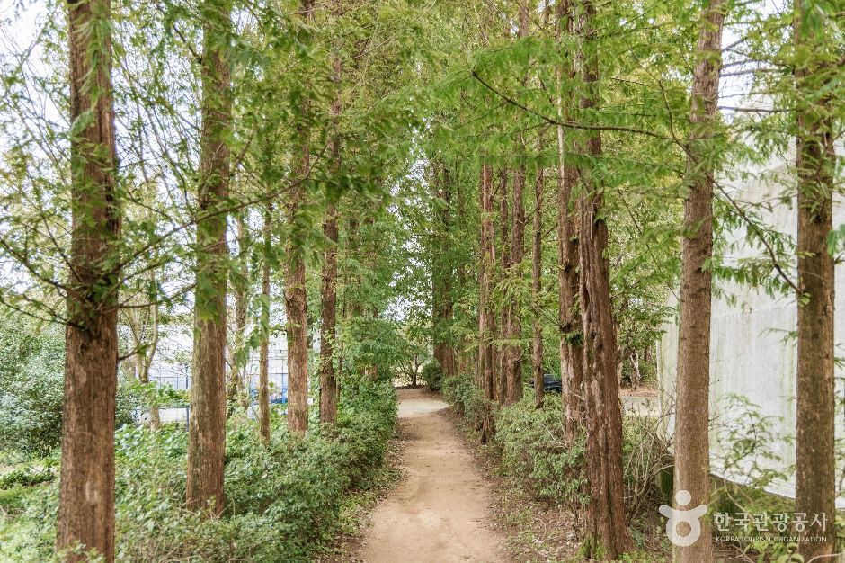 익산 달빛소리 수목원 이미지 6