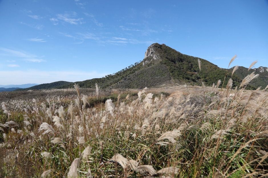 산청 황매산 이미지 9