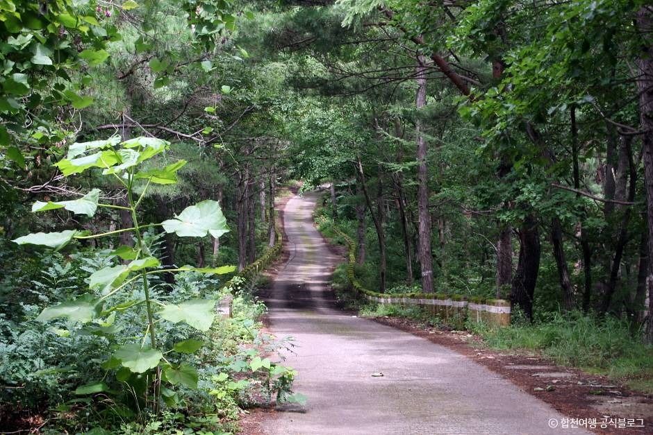 합천 오도산전망대 이미지 5