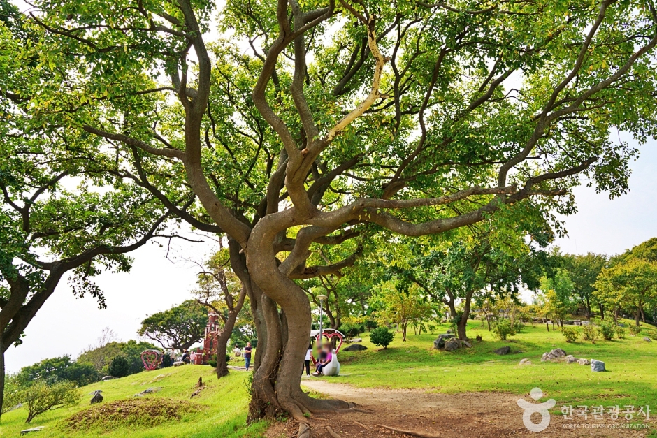 울진 등기산등대공원 이미지 3