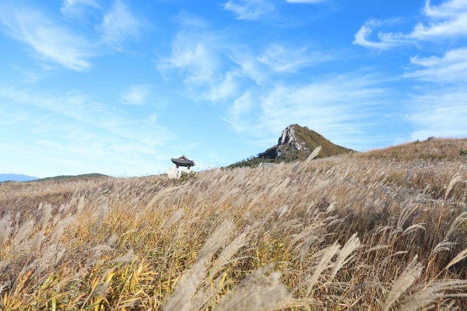 산청 황매산 이미지 4