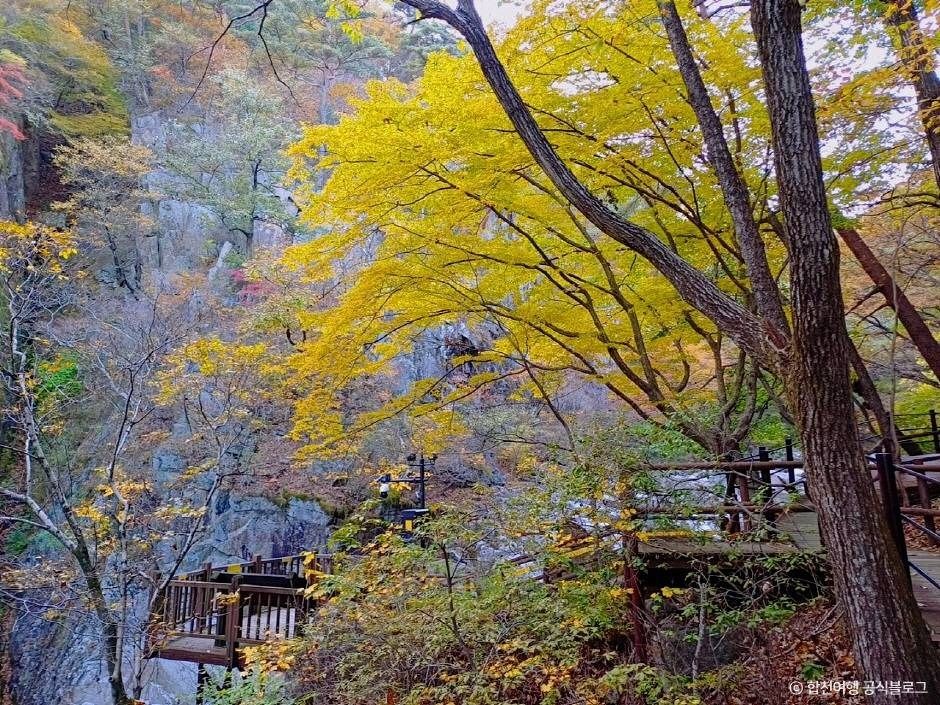 합천 가야산 소리길 이미지 5