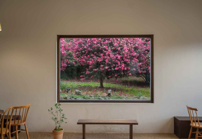 제주 동백포레스트 이미지 7