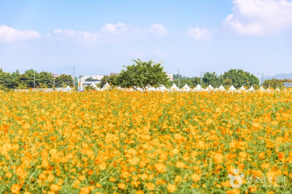 양주 나리농원 이미지 8