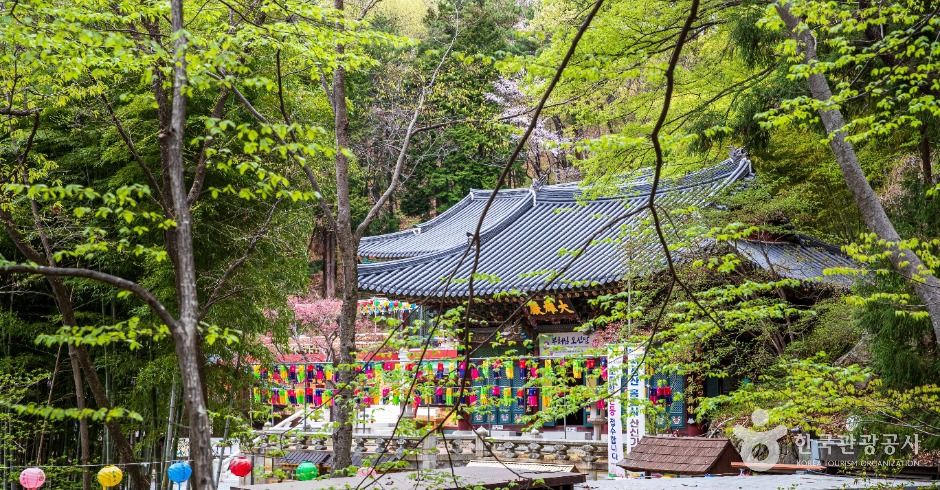 양산 홍룡사 이미지 6