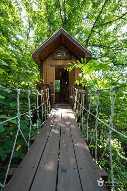 용인 자연휴양림 이미지 8