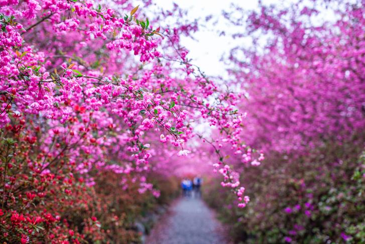 강진 남미륵사 이미지 4