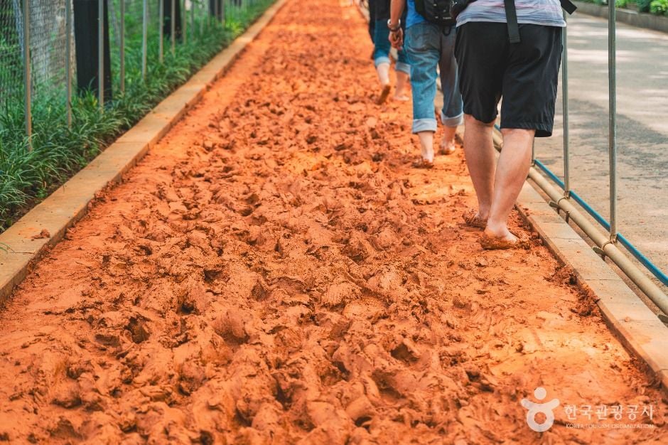 서울 서대문 안산_안산자락길 이미지 3