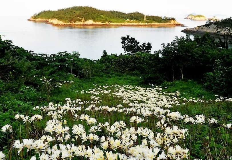 부안 위도섬 _서해안 국가지질공원 이미지 1