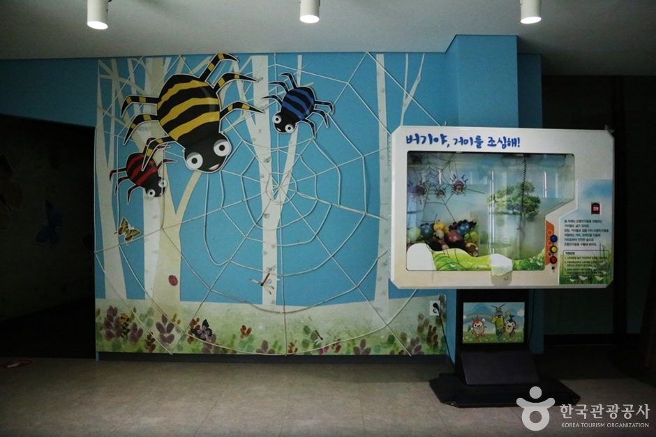 거제 곤충생태박물관 이미지 10