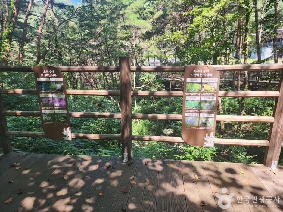 거창 항노화힐링랜드 이미지 6