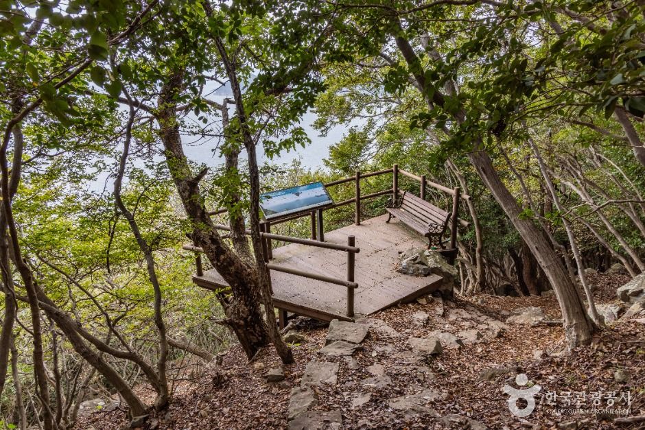 통영 비진도 이미지 3