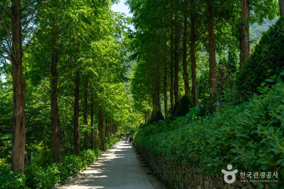 고성 그레이스 정원 이미지 4