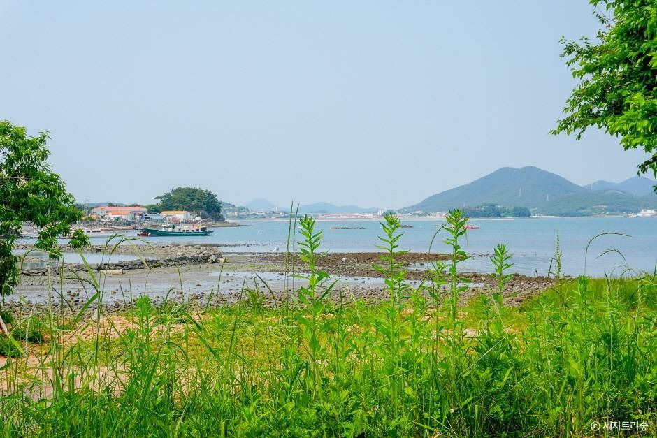 통영 RCE세자트라숲 이미지 9