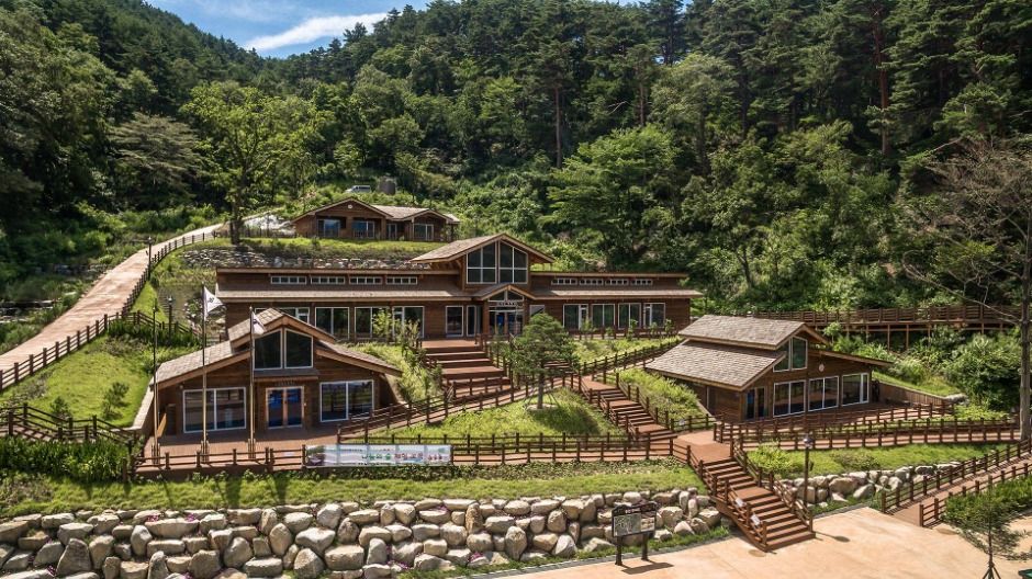 강릉 국립대관령치유의숲 이미지 2