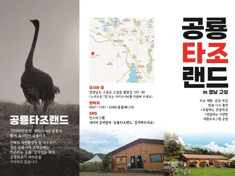 고성 공룡타조랜드 이미지 5