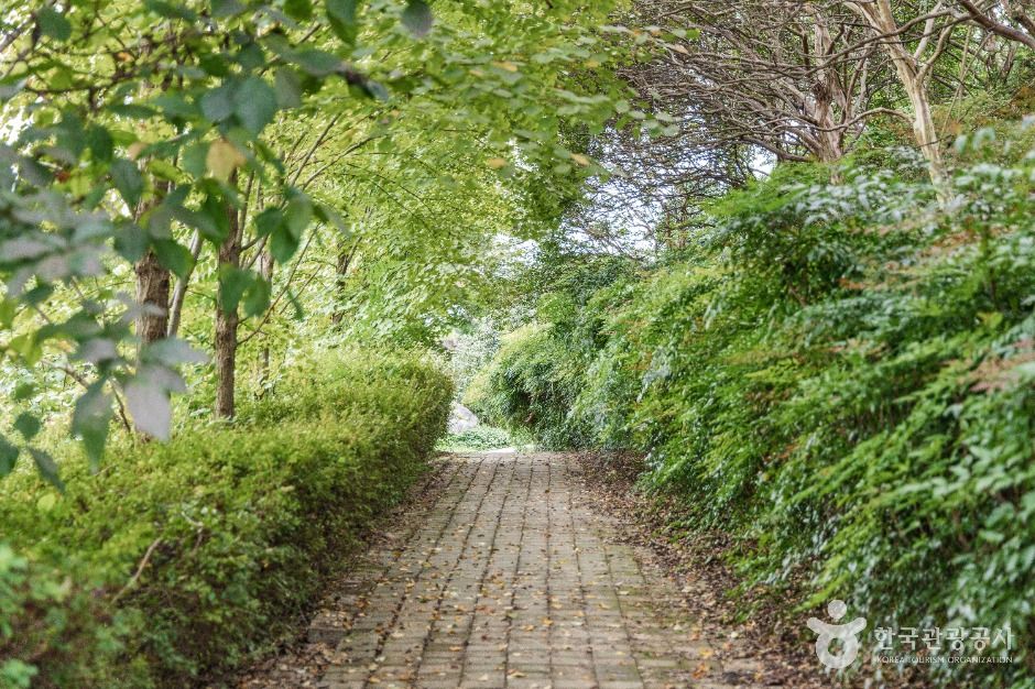 익산 달빛소리 수목원 이미지 7