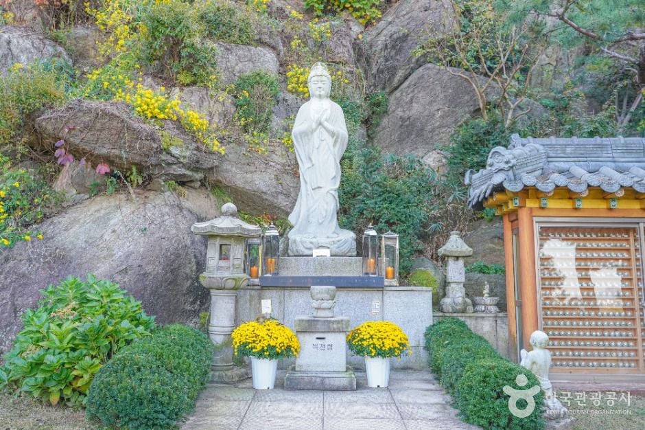 서울 달마사 이미지 6