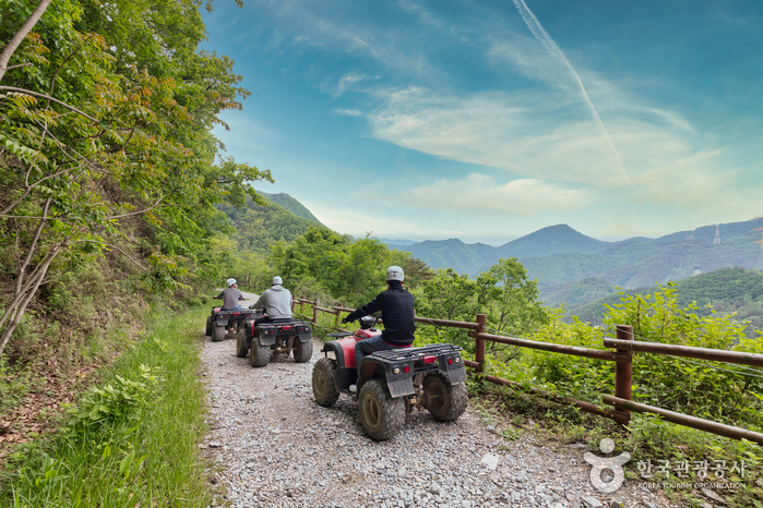정선 병방치 스카이워크_동강 이미지 2