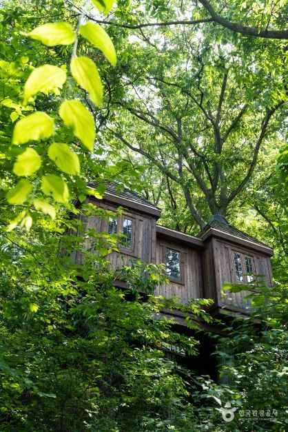 용인 자연휴양림 이미지 7