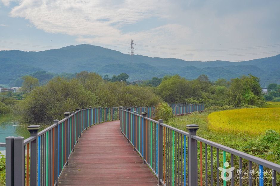 안성 덕산저수지 산책로 이미지 1