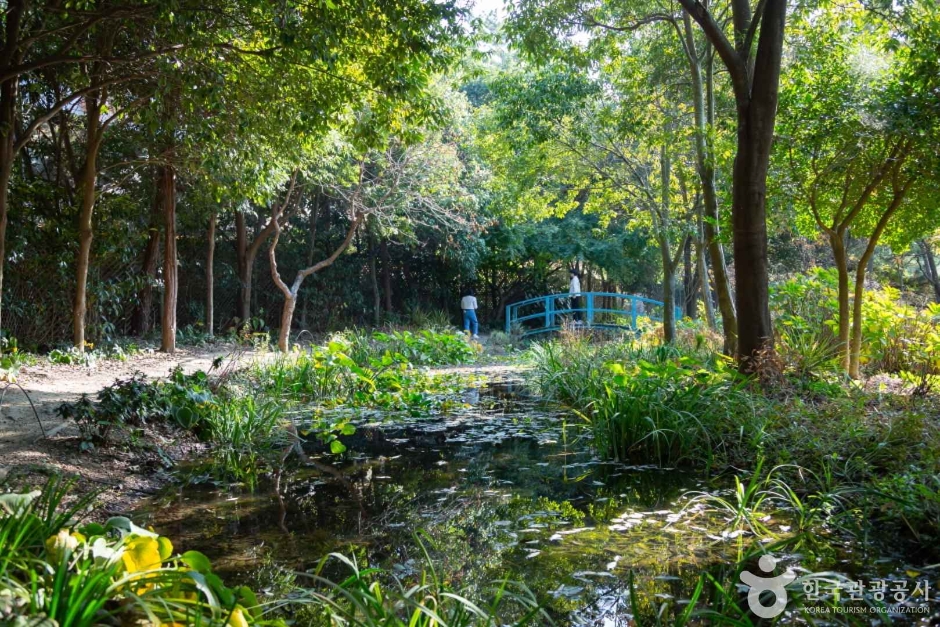 남해 섬이정원 이미지 6